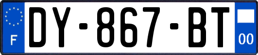 DY-867-BT