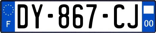 DY-867-CJ