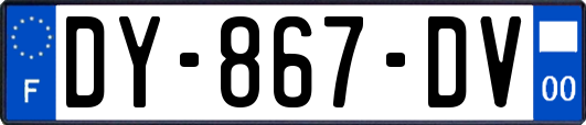 DY-867-DV