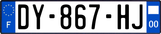 DY-867-HJ