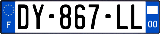 DY-867-LL