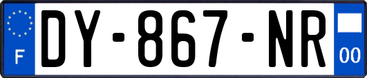 DY-867-NR