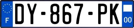 DY-867-PK
