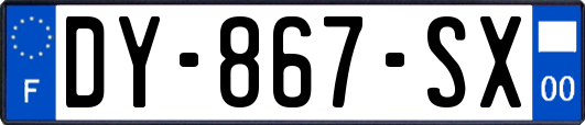 DY-867-SX