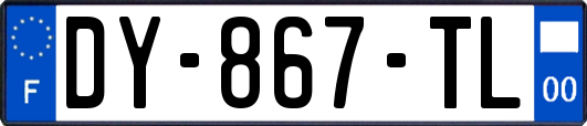 DY-867-TL