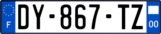 DY-867-TZ