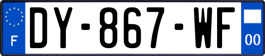 DY-867-WF