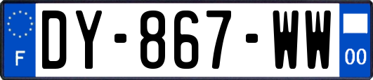 DY-867-WW