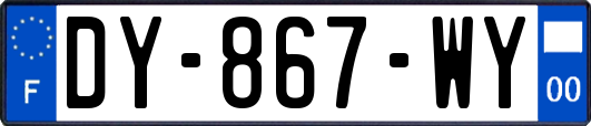 DY-867-WY