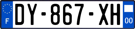 DY-867-XH