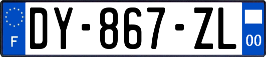 DY-867-ZL