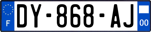 DY-868-AJ