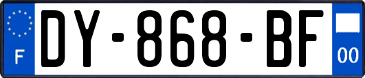 DY-868-BF