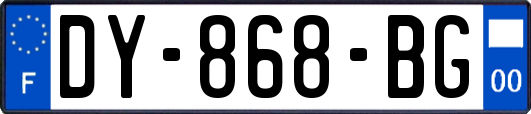 DY-868-BG