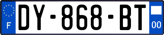 DY-868-BT