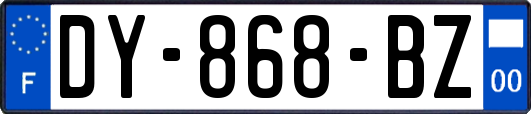 DY-868-BZ