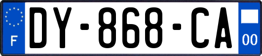 DY-868-CA