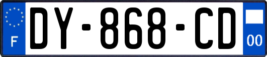 DY-868-CD