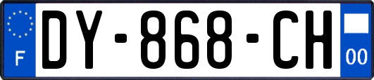 DY-868-CH