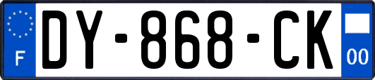 DY-868-CK