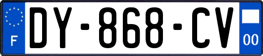 DY-868-CV