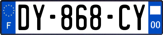 DY-868-CY