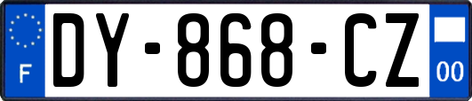 DY-868-CZ