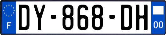 DY-868-DH
