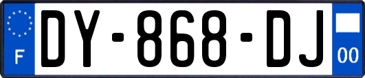 DY-868-DJ
