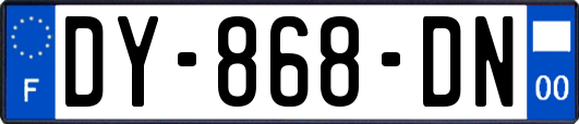 DY-868-DN