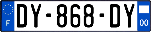 DY-868-DY