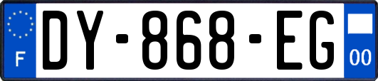 DY-868-EG