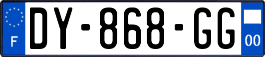 DY-868-GG