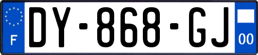 DY-868-GJ