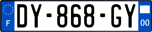 DY-868-GY