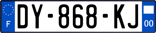 DY-868-KJ