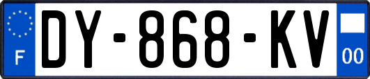 DY-868-KV