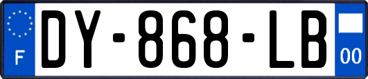 DY-868-LB