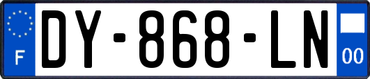 DY-868-LN