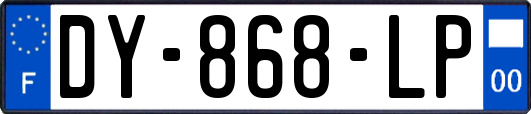DY-868-LP