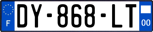 DY-868-LT