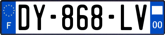 DY-868-LV