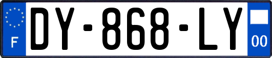 DY-868-LY