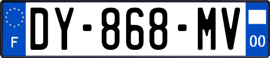 DY-868-MV