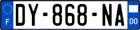 DY-868-NA