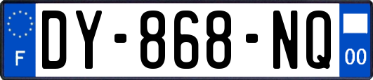 DY-868-NQ