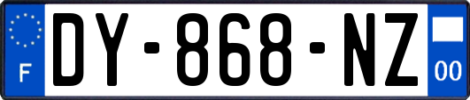 DY-868-NZ