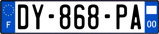 DY-868-PA