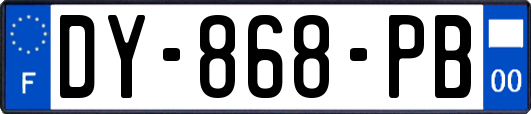 DY-868-PB