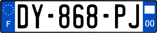 DY-868-PJ